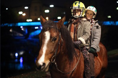 Bild: DAS PFERD AUF DEM BALKON